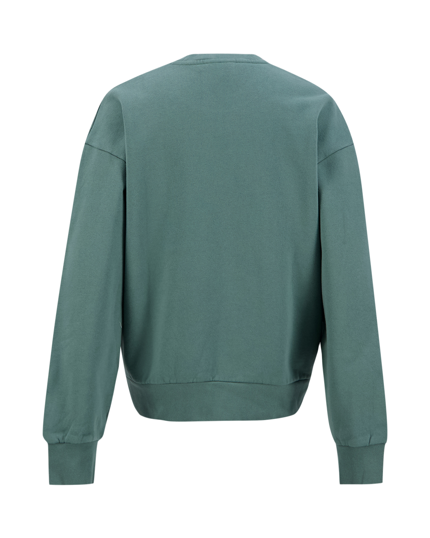 Carhartt WIP W' Casey Sweatshirt GROEN 2